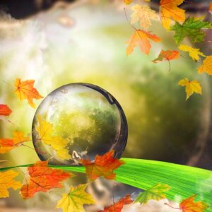 Live fantasy Free illustrations