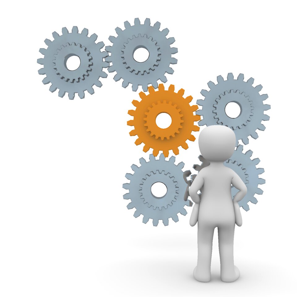 Economy business management