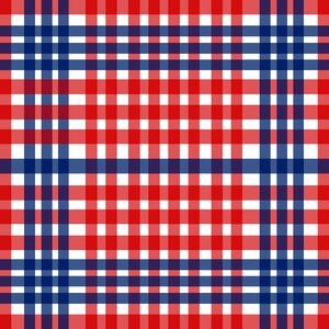 Gingham pattern traditional