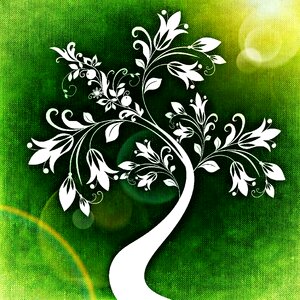 Flowers leaves structure