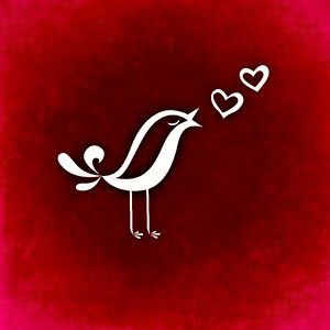 Greeting card romance affection
