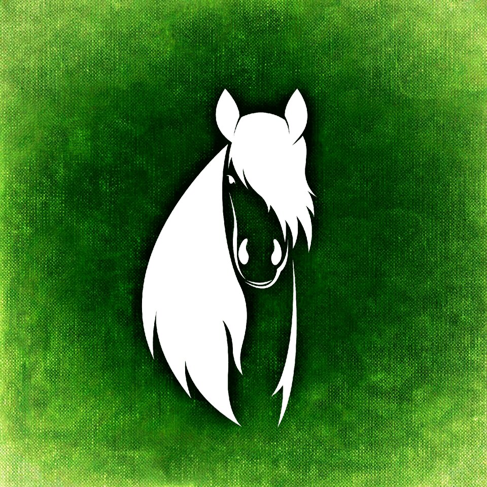 Elegant animal world beautiful