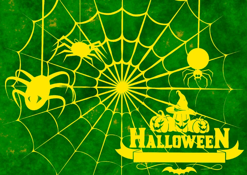 Atmosphere creepy spider