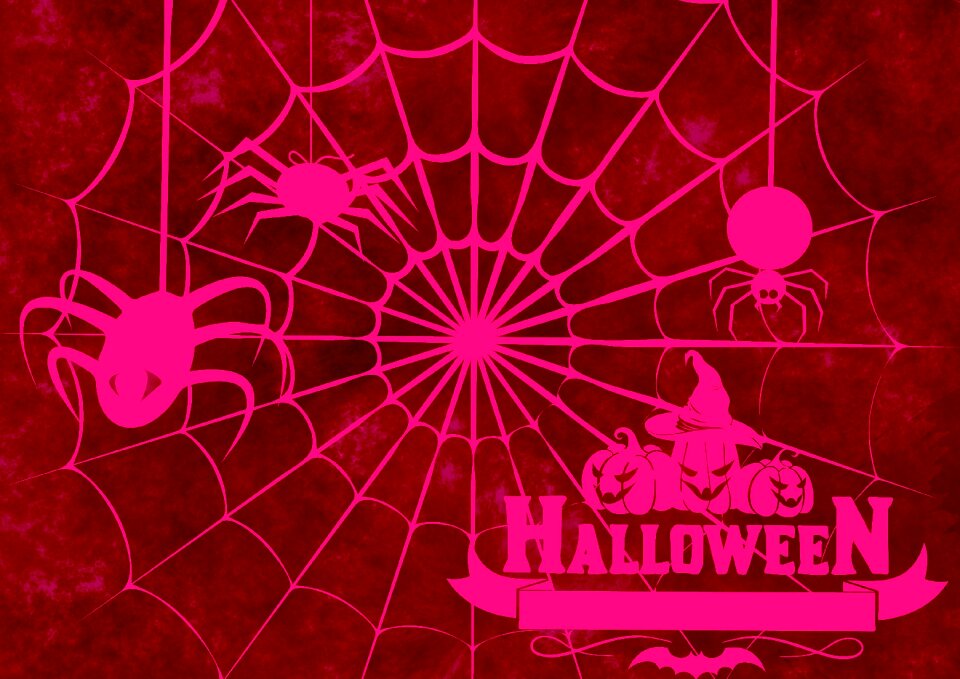 Atmosphere creepy spider