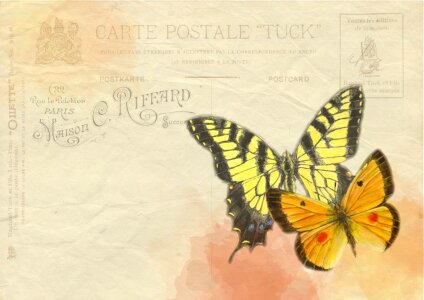 Postcard vintage nature