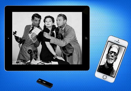 Black and white phone tablet