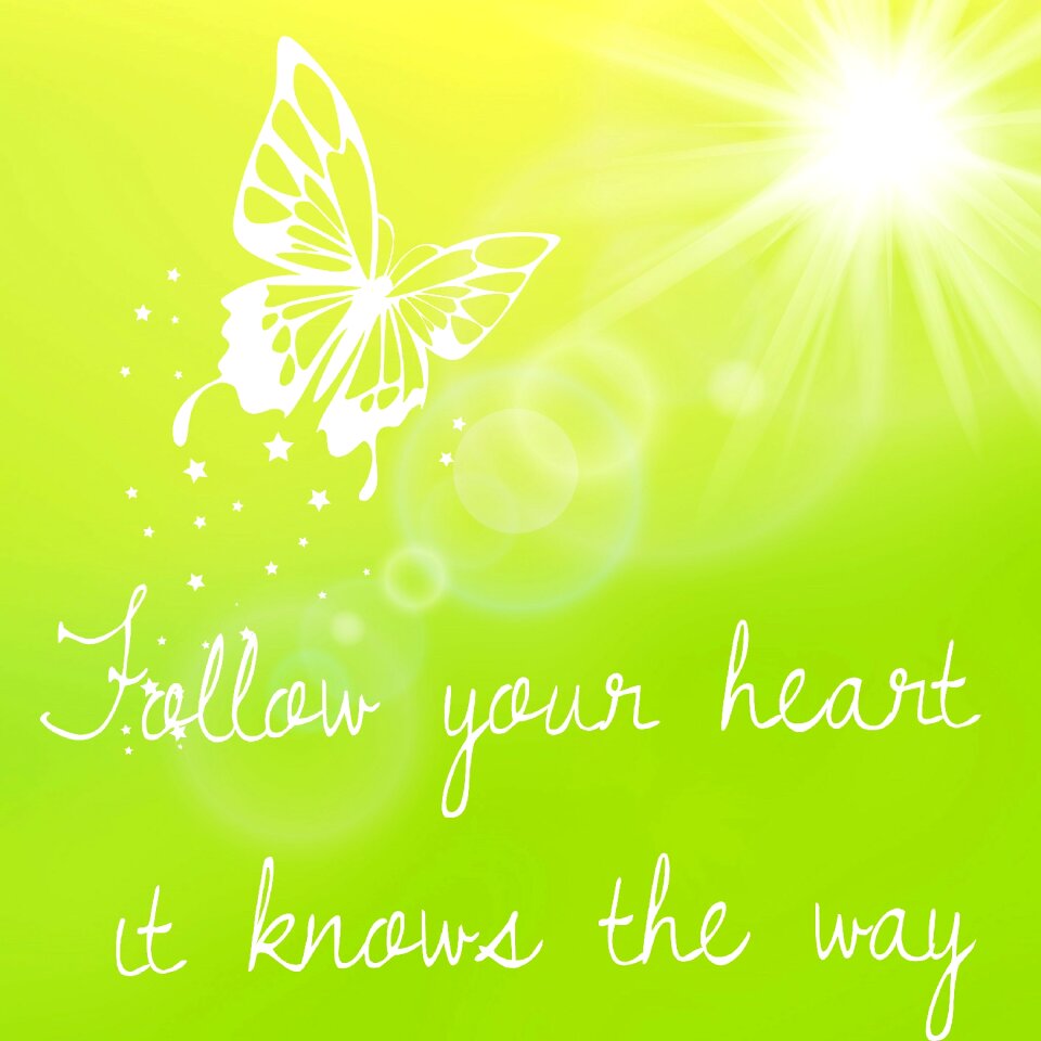 Butterfly sun joy