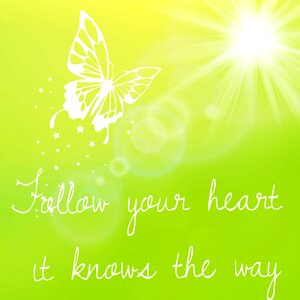 Butterfly sun joy