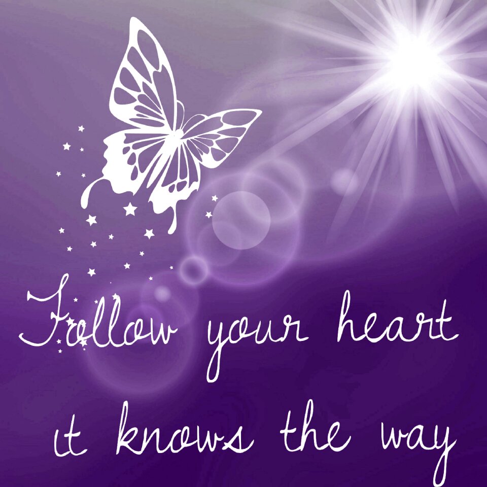 Butterfly sun joy