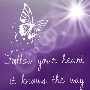 Butterfly sun joy