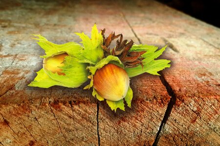 Autumn food brown