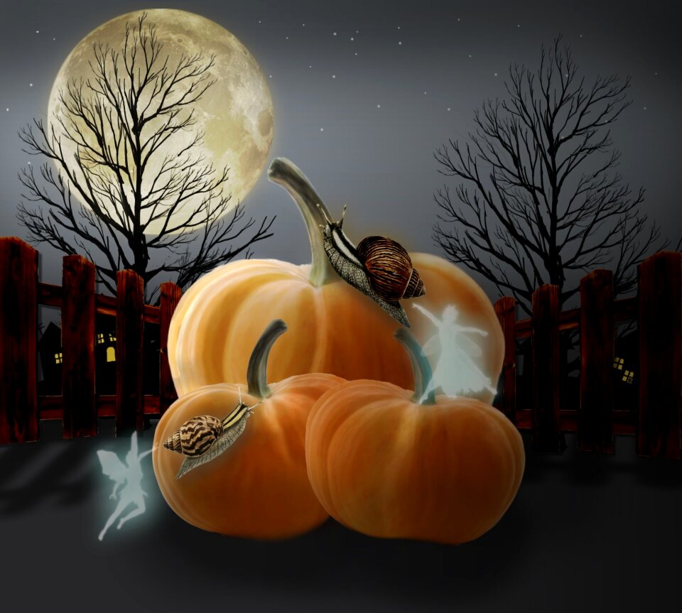 Digital art corel paint pro schop Free illustrations