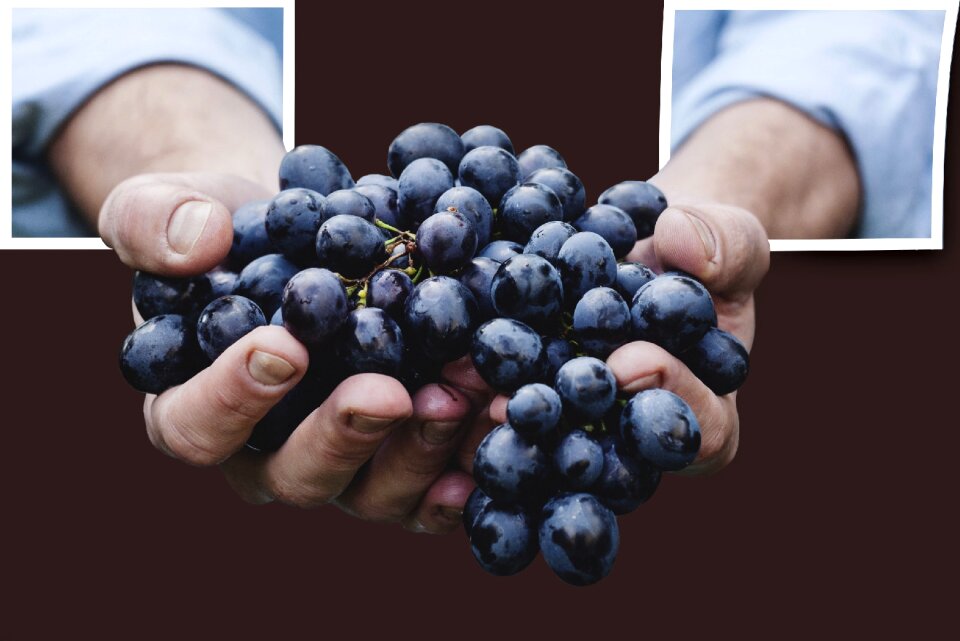 Fruit healthy red