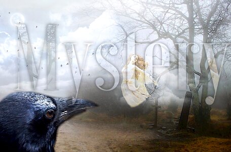 Fairy fee raven