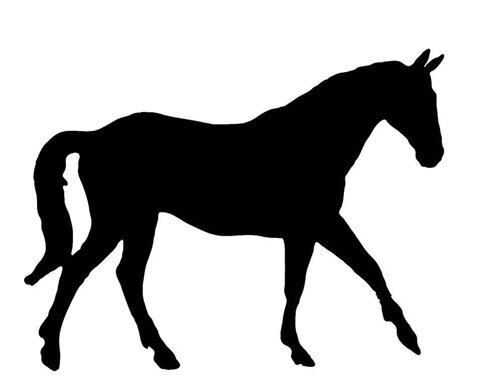 Silhouette black mammal