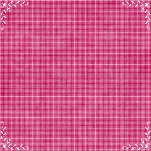 Gingham rustic retro