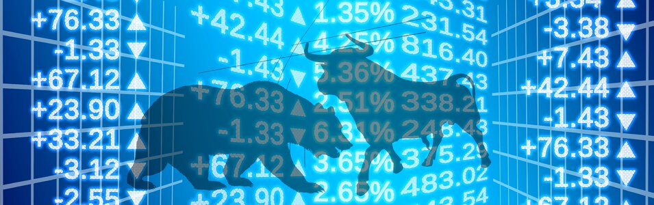 Bear boom economy
