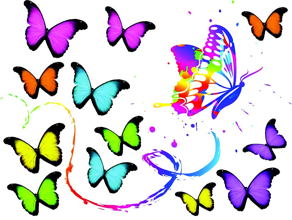 Color colorful Free illustrations