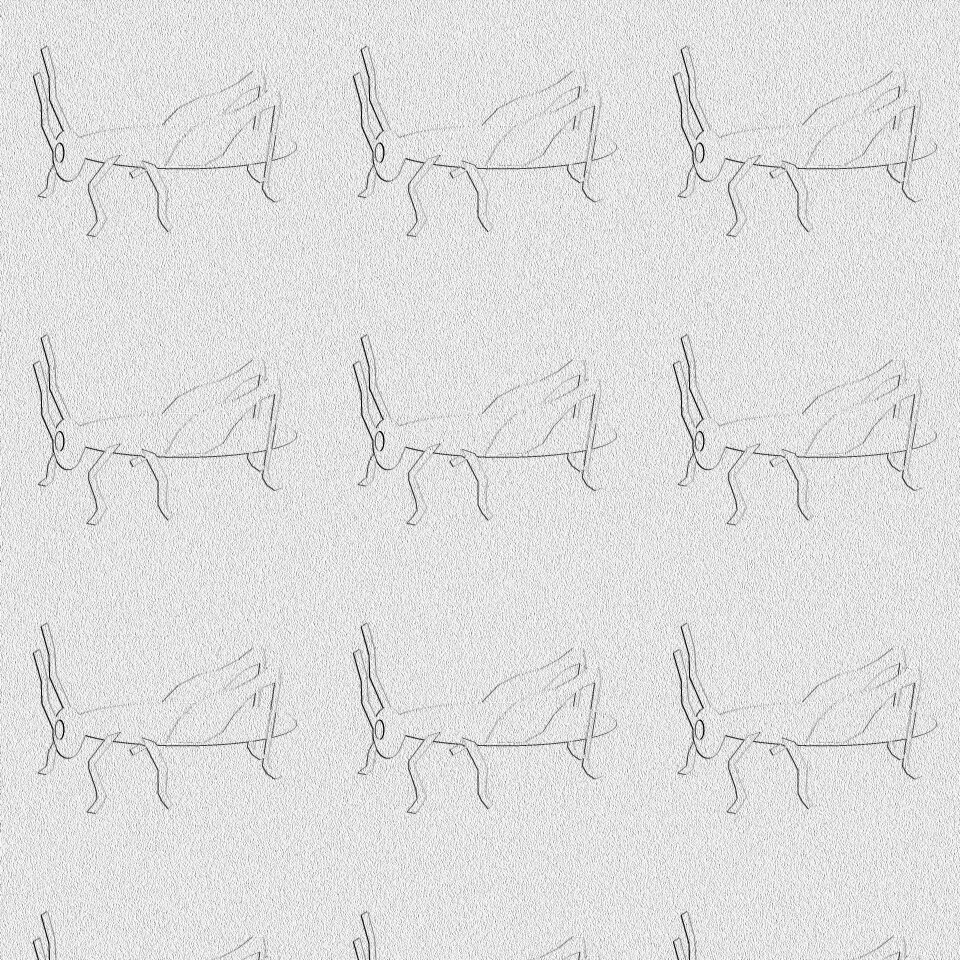 Insect texture Free illustrations