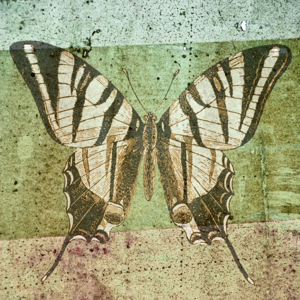 Design grunge vintage