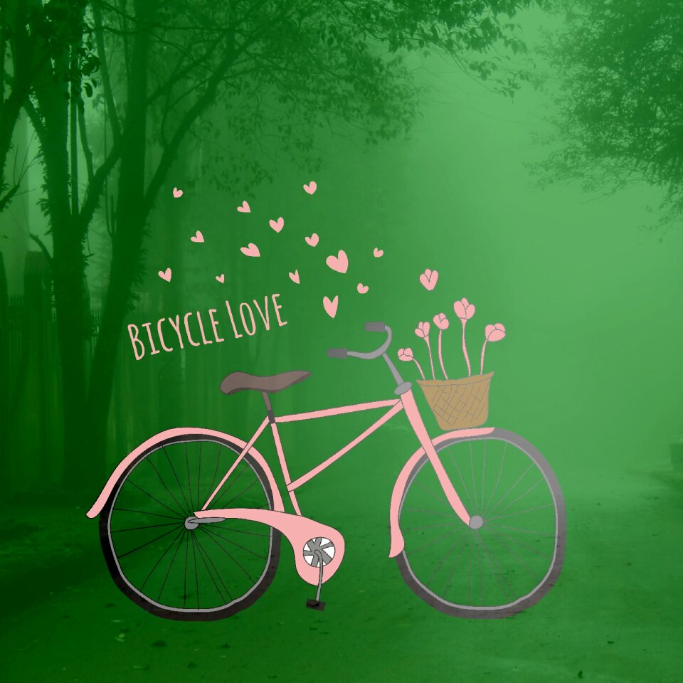 Environment bike cycle
