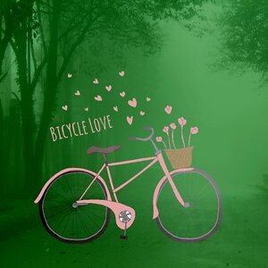 Environment bike cycle