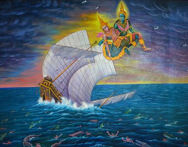Sea ocean flying