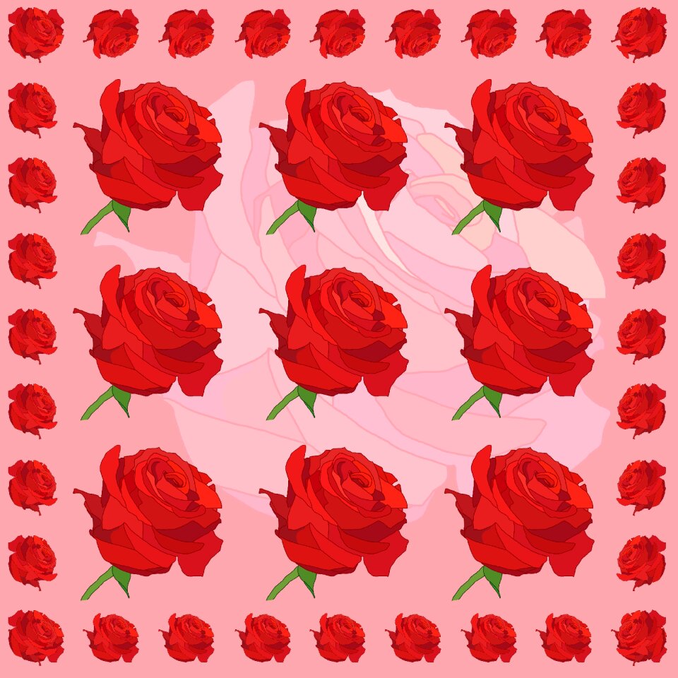 Red roses pink flower