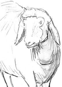 Drawing pencil drawing black and white