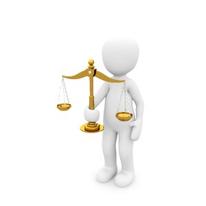 Law auction judge
