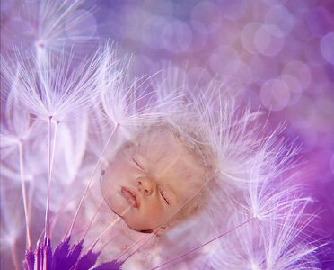 Spiritual psyche psychology