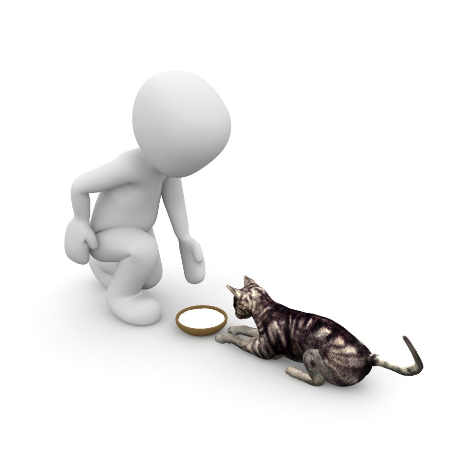 Love for animals tame eat