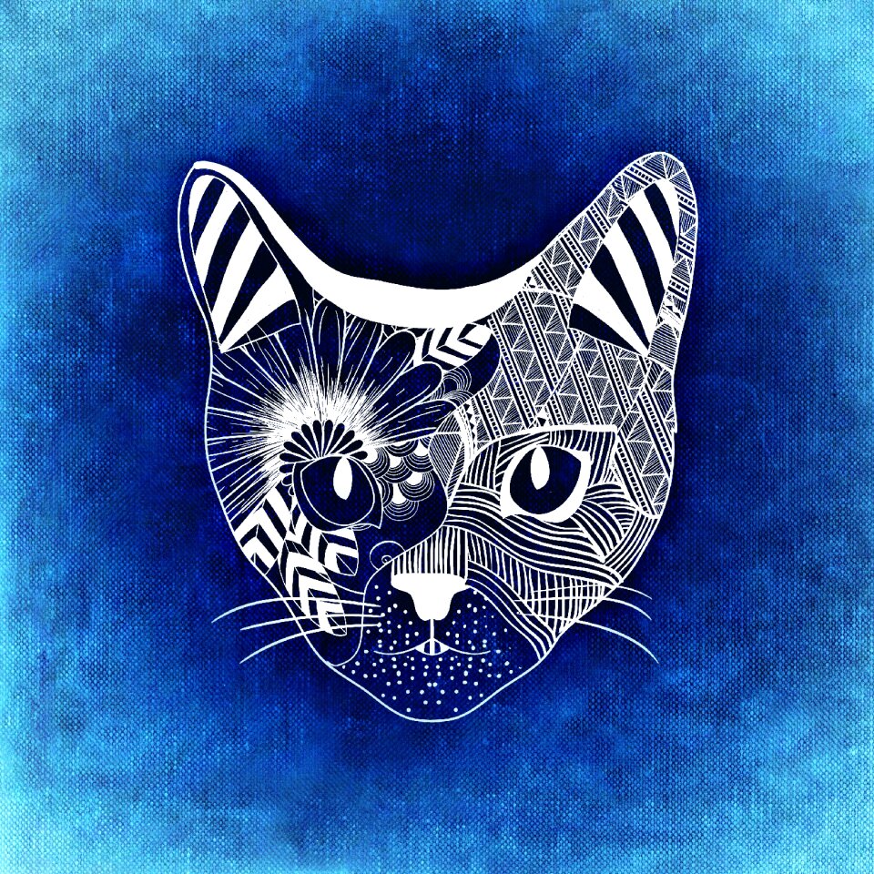 Funny texture Free illustrations