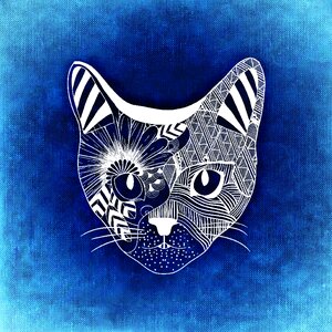 Funny texture Free illustrations