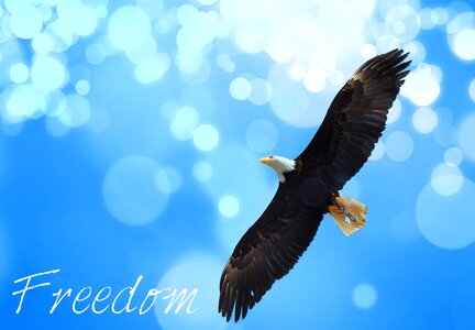 Blue sky Free illustrations