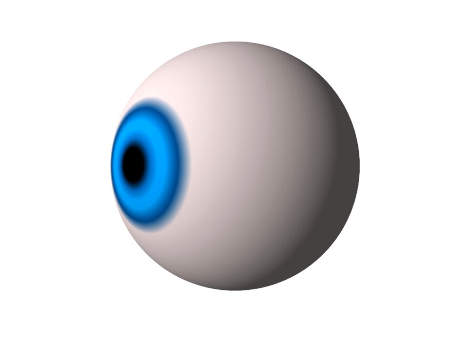 Human eyesight iris