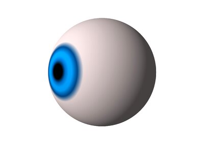 Human eyesight iris