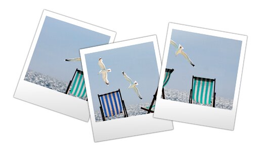 Photo snapshot travel