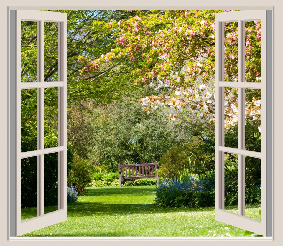 Window open trees