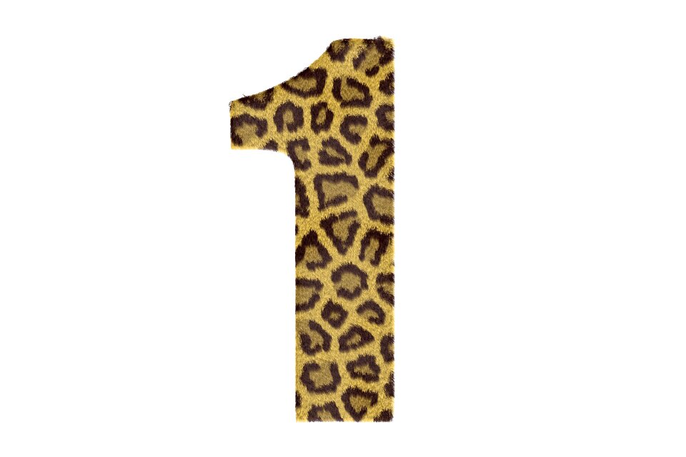 Texture leopard text