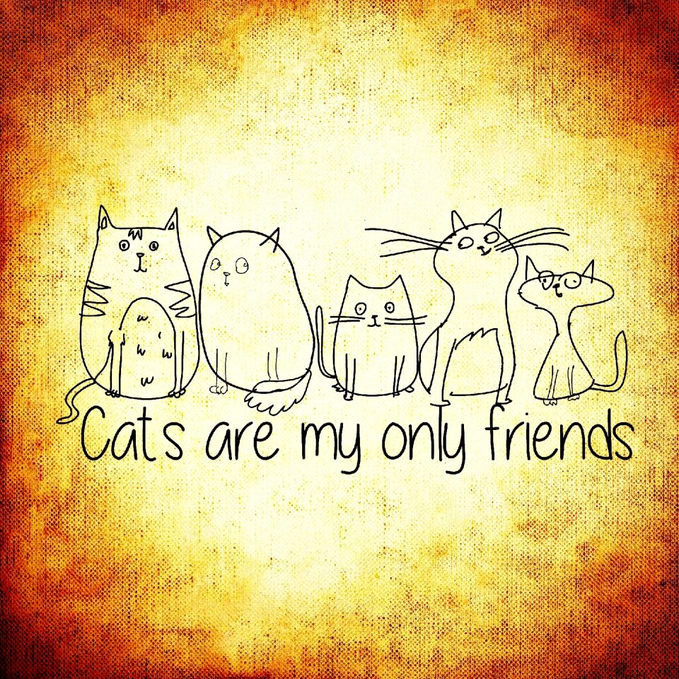 Dear animals cute