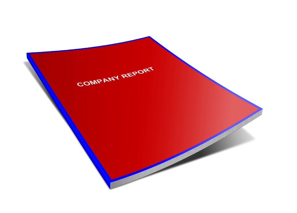 Company business design