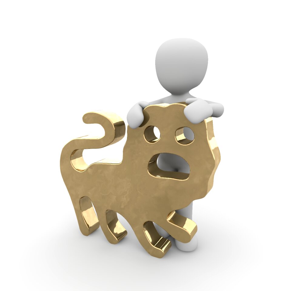 Interpretation new age lion