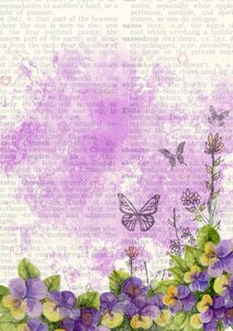Watercolor butterflies romantic
