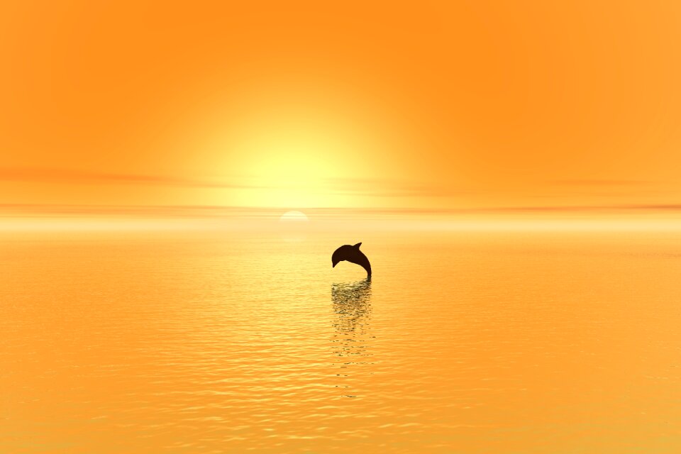 Sky water ocean