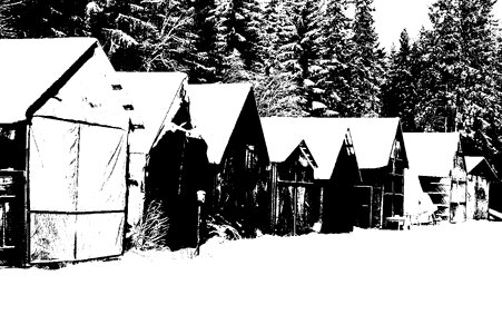 Black and white house small