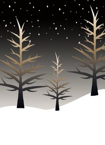 Christmas xmas nature