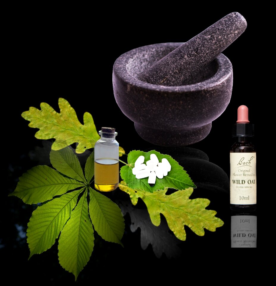 Remedy manufacturing medicinal plant medical
