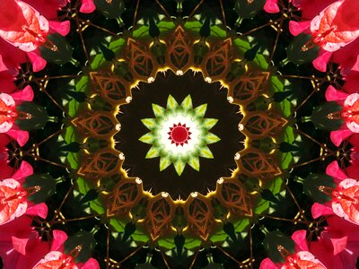 Colors colorful Free illustrations