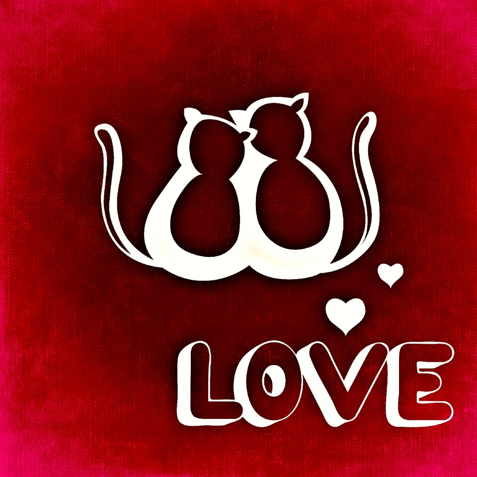 Romance affection feelings